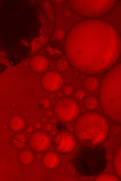Makro Záběr Barevných Bublin Červeném Pozadí Ideální Pro Tapety Nebo — Stock fotografie