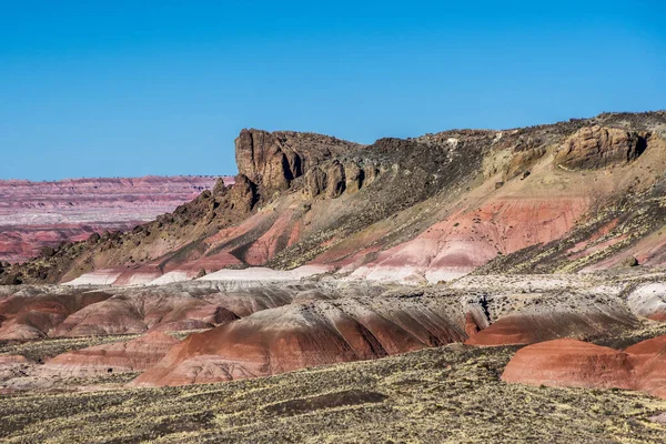 Imagem Mostra Cores Deserto Pintado Parque Nacional Floresta Petrificada Leste — Fotografia de Stock