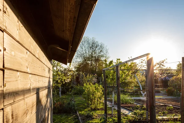 Schöne Aufnahme Eines Gartens Einem Sonnigen Tag — Stockfoto