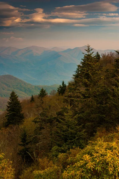 Een Prachtig Landschap Van Bomen Groeiend Berghelling Tijdens Een Zonsondergang — Stockfoto