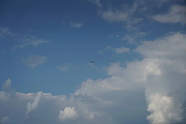 Beautiful Shot Bird Flying Background Cloudy Sky — Stock Photo, Image