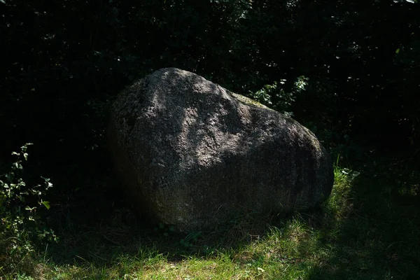 Vue Énorme Rocher Milieu Forêt — Photo