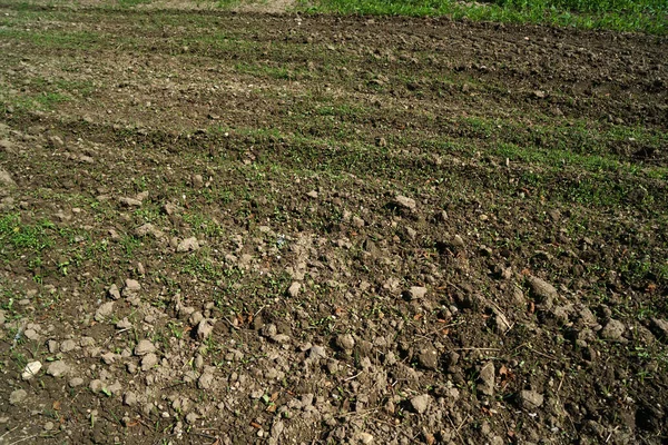 Uma Vista Panorâmica Terreno Preparado Para Agricultura — Fotografia de Stock