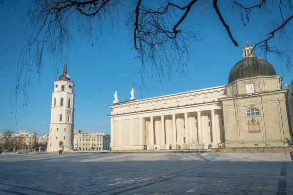 Plan Place Principale Cathédrale Vilnius — Photo