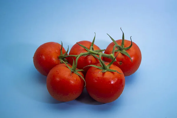 Eine Nahaufnahme Von Lecker Aussehenden Frischen Tomaten Isoliert Auf Blauem — Stockfoto