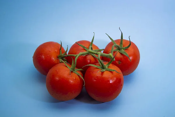 Closeup Shot Tasty Looking Fresh Tomatoes Isolated Blue Background — Stock Photo, Image