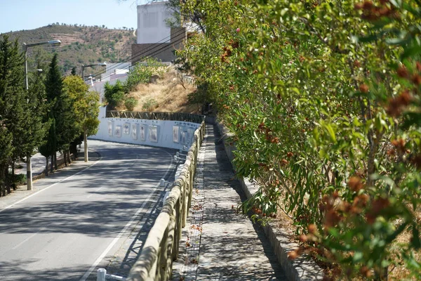 Uma Bela Paisagem Rural Com Uma Estrada Cercada Pela Floresta — Fotografia de Stock