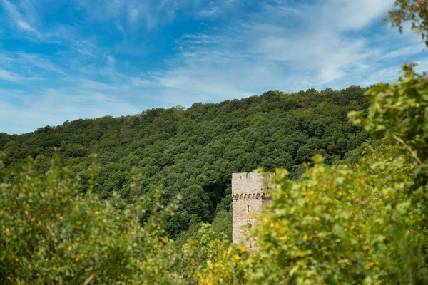 Ruina Torre Antiguo Castillo Medieval Con Bosque Cielo Azul Fondo —  Fotos de Stock