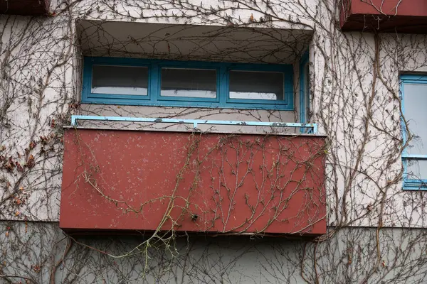 Ein Balkon Umgeben Von Einer Kletterpflanze — Stockfoto