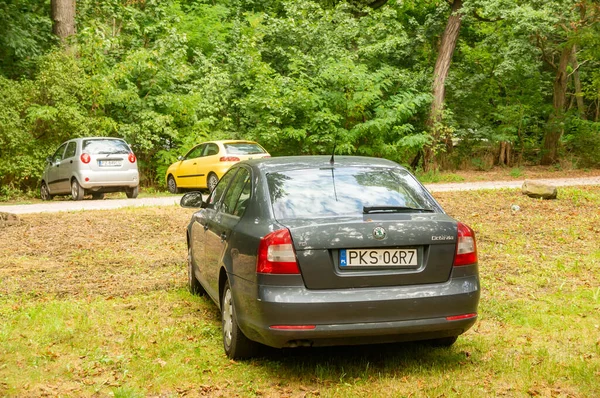 Rogalin Polsko Srpna 2020 Zaparkovaná Auta Parku Stromy — Stock fotografie