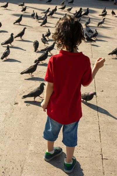 一个小男孩直勾勾地看着街上的鸽子 — 图库照片