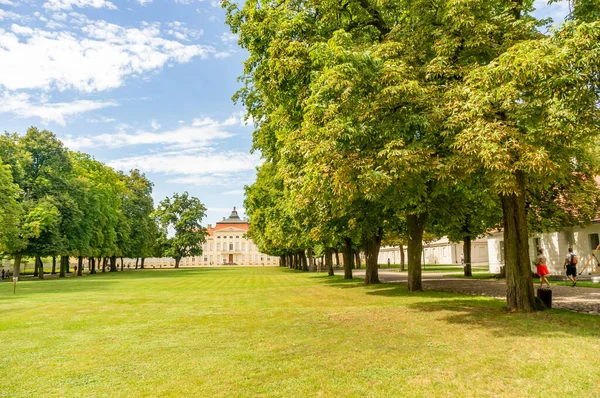 Rogalin Polonia Agosto 2020 Campo Hierba Verde Con Árboles Que — Foto de Stock