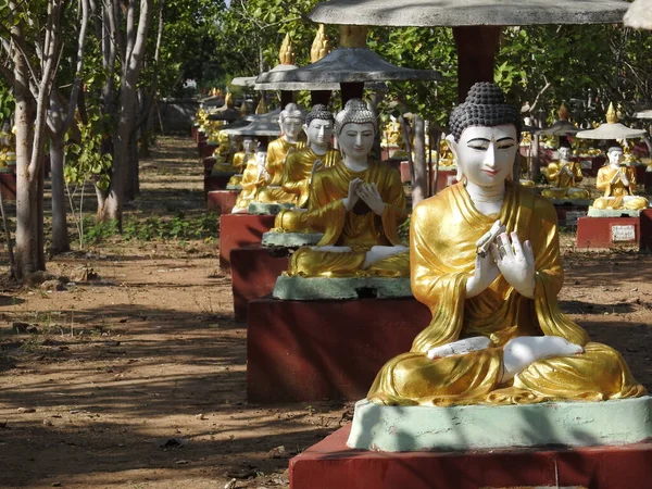 Tiro Jardim Buda Bodhi Tataung Myanmar — Fotografia de Stock