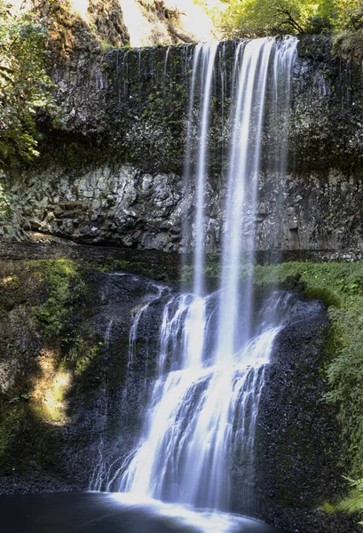 Vertikální Snímek Krásného Výhledu Státní Park Silver Falls — Stock fotografie