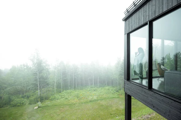 Ein Gebäude Mit Glasfenstern Wald Einem Nebligen Tag — Stockfoto