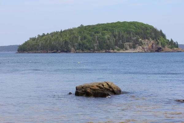 Vacker Skogsklädd Klippa Mitt Havet — Stockfoto