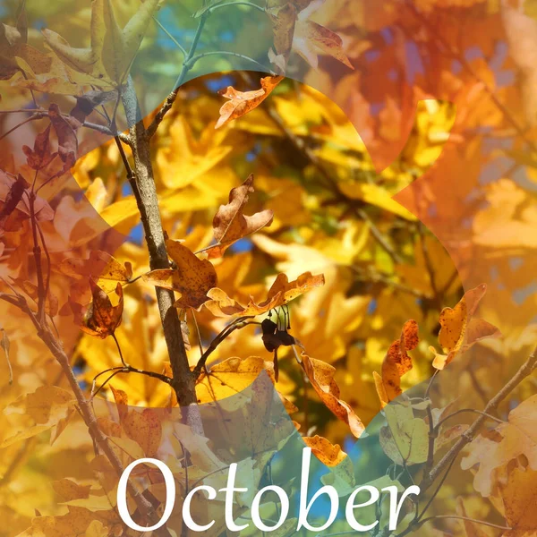 Nahaufnahme Einer Herbstlichen Naturkulisse Eichelform Text Oktober — Stockfoto