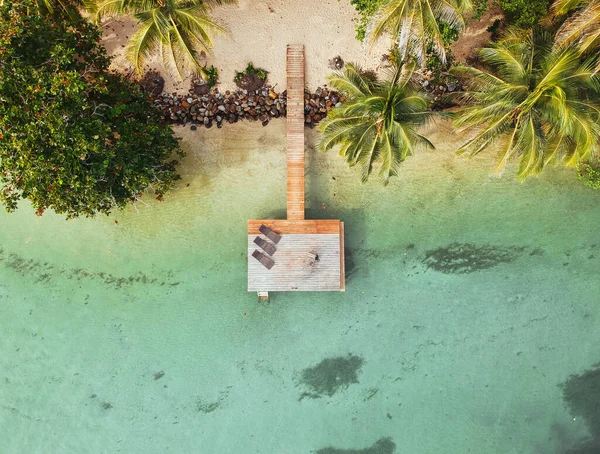 Madártávlatból Kilátás Egy Gyönyörű Strandra Tiszta Tengerrel Pálmafákkal — Stock Fotó