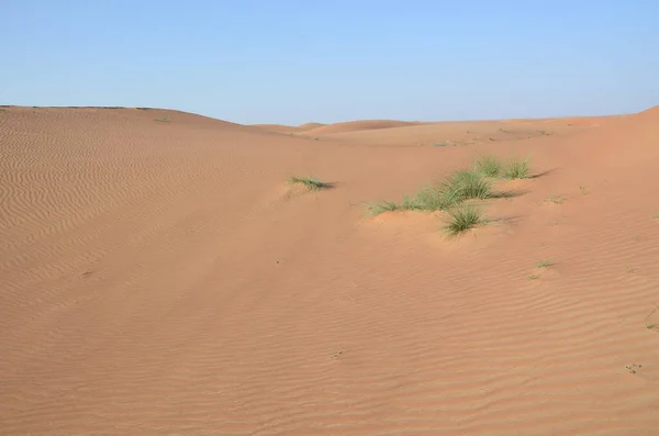 Een Hoge Hoek Schot Van Een Woestijn — Stockfoto