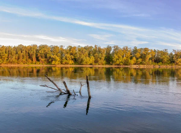 木々に囲まれた穏やかな湖の魅惑的なショット — ストック写真
