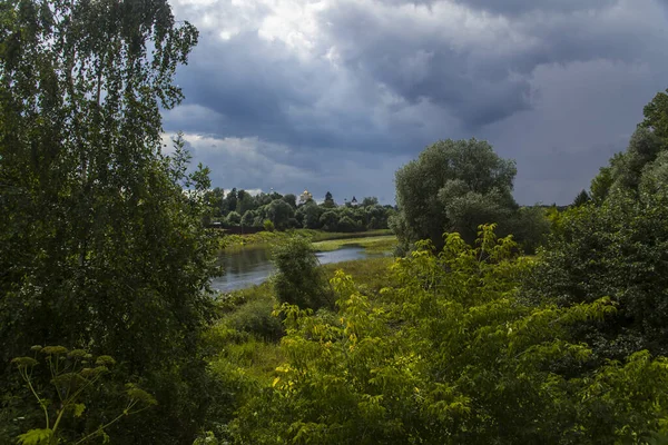 Dech Beroucí Záběr Jezera Poli Zamračený Den — Stock fotografie