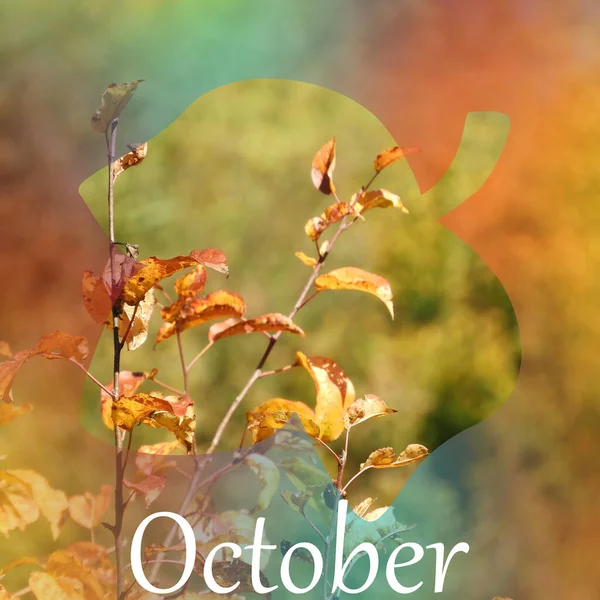 Крупный План Осеннего Пейзажа Форме Желудя Текст Октябрь — стоковое фото