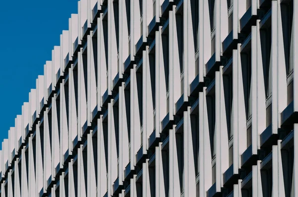 Eine Flache Aufnahme Eines Hohen Weißen Gebäudes Mit Säulen Unter — Stockfoto