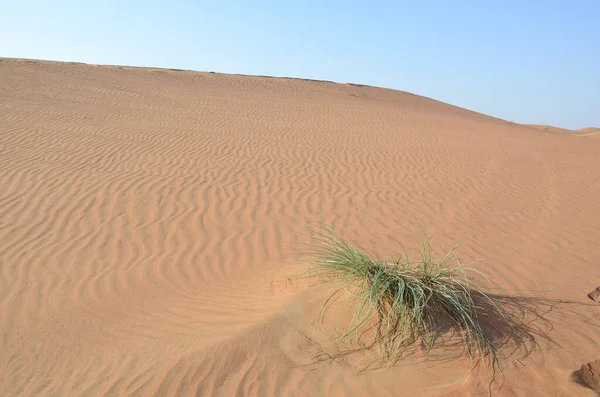 Een Hoge Hoek Schot Van Een Woestijn — Stockfoto