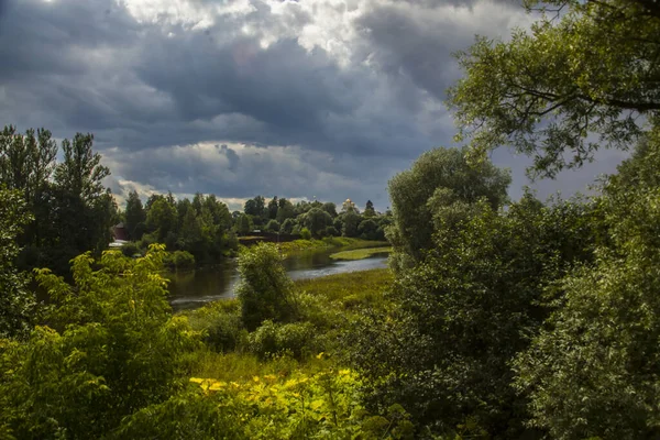 Dech Beroucí Záběr Jezera Poli Zamračený Den — Stock fotografie