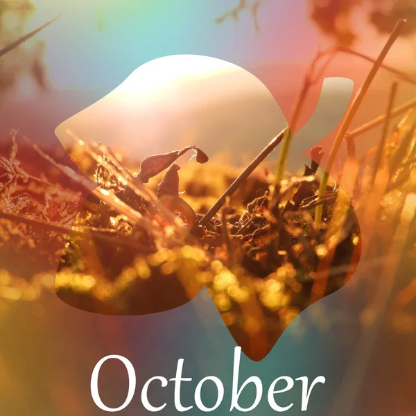 Closeup Shot Autumn Nature Scenery Acorn Shaped Frame Text October — Stock Photo, Image