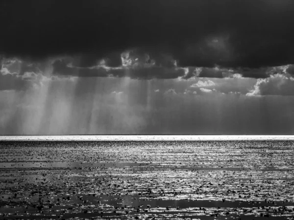 Gråskala Bild Soluppgången Den Mörka Molniga Himlen Över Havet — Stockfoto