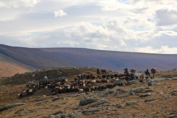 Mongolski Kazachstańczyk Nomads Stylu Życia Ich Emigracyjne Letnie Miejsce Kempingowe — Zdjęcie stockowe