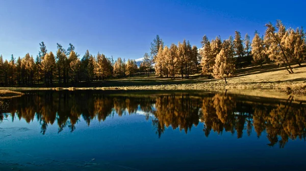 Krásná Scenérie Mongolské Divoké Přírody Krajiny — Stock fotografie