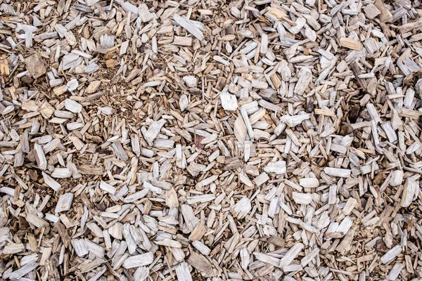Pile Wood Chips — Stock Photo, Image