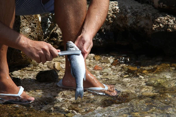 Primer Plano Pescador Limpiando Cuerpo Pescado Con Cuchillo Río —  Fotos de Stock