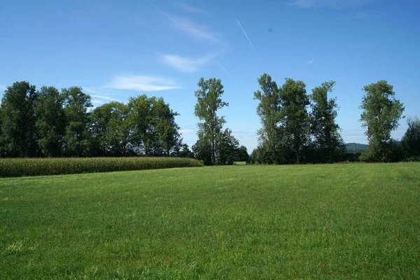 Ein Sommer Landschaft Ansicht Von Abgelegt Mit Frisch Gewachsenem Grün — Stockfoto