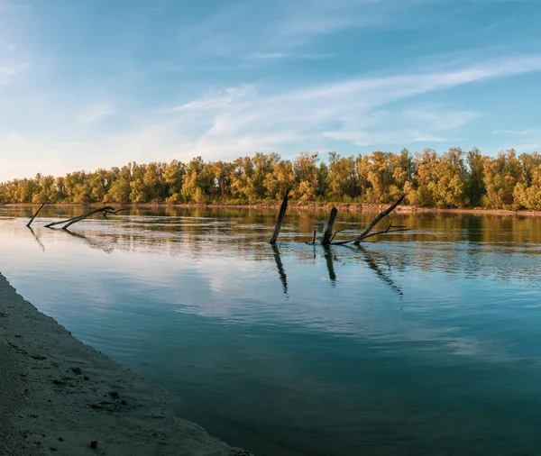 Захоплюючий Знімок Спокійного Озера Оточеного Деревами — стокове фото