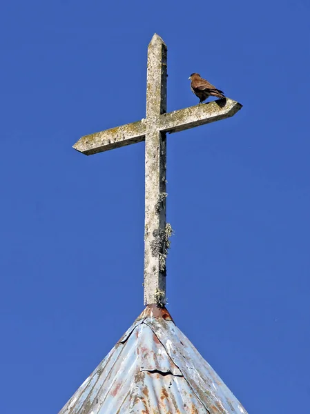 Alacsony Szögű Lövés Egy Madárról Templomi Kereszten — Stock Fotó