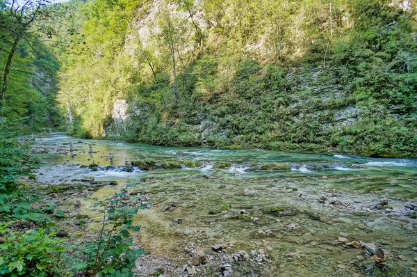 森林里一缕美丽的溪水 — 图库照片