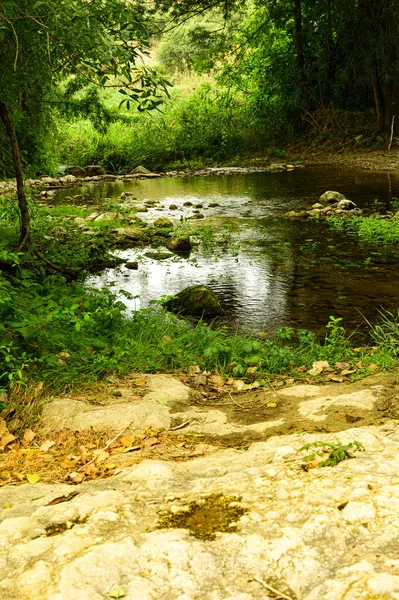 Doğadaki Küçük Bir Nehrin Görüntüsü — Stok fotoğraf