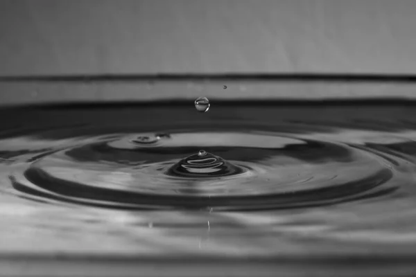 Сірий Знімок Невеликої Краплі Води Падає Поверхню Води — стокове фото