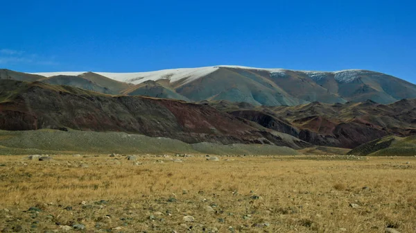 Een Prachtig Landschap Van Mongoolse Wilde Natuur Landschap — Stockfoto