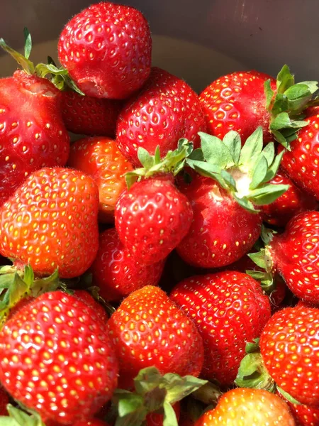 Primer Plano Vertical Fresas — Foto de Stock