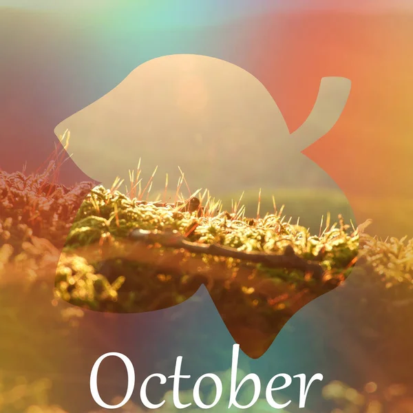 Closeup Shot Autumn Nature Scenery Acorn Shaped Frame Text October — Stock Photo, Image