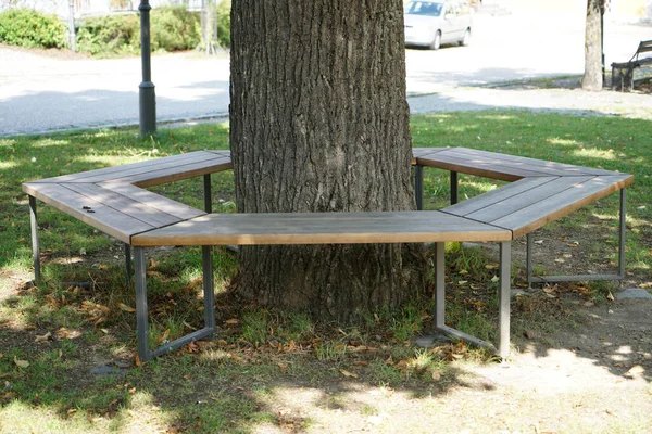 Banc Rond Bois Autour Arbre — Photo