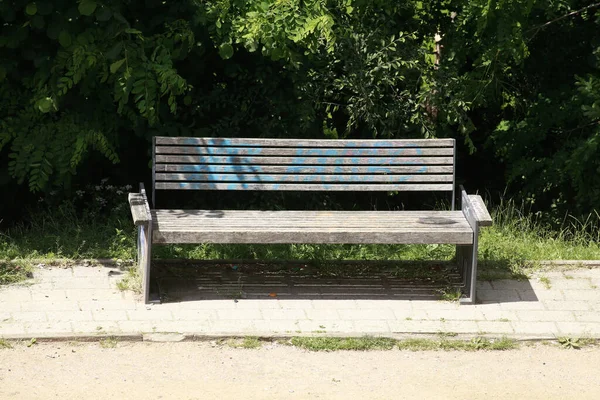 Träbänk Skuggan Träden — Stockfoto