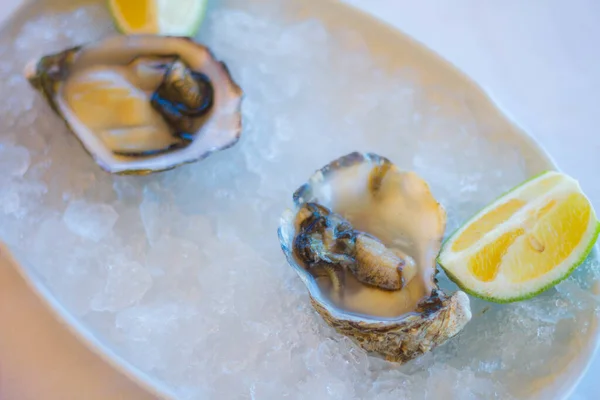 Closeup Shot Tasty Delicious Seafood Meal Oysters Lemons — Stock Photo, Image