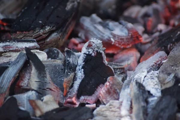 Closeup Shot Burning Charcoal Fireplace — Stock Photo, Image