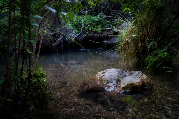 森の中の緑に囲まれた川の巨大な岩 — ストック写真