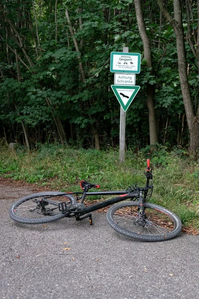 Disparo Vertical Una Bicicleta Suelo Bosque Alemania —  Fotos de Stock